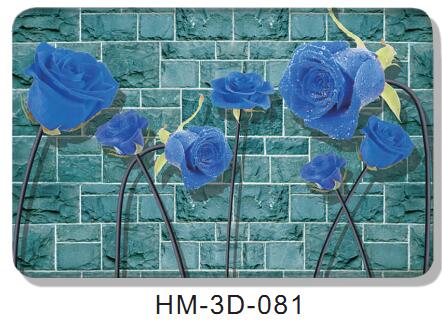 HM-3D-081